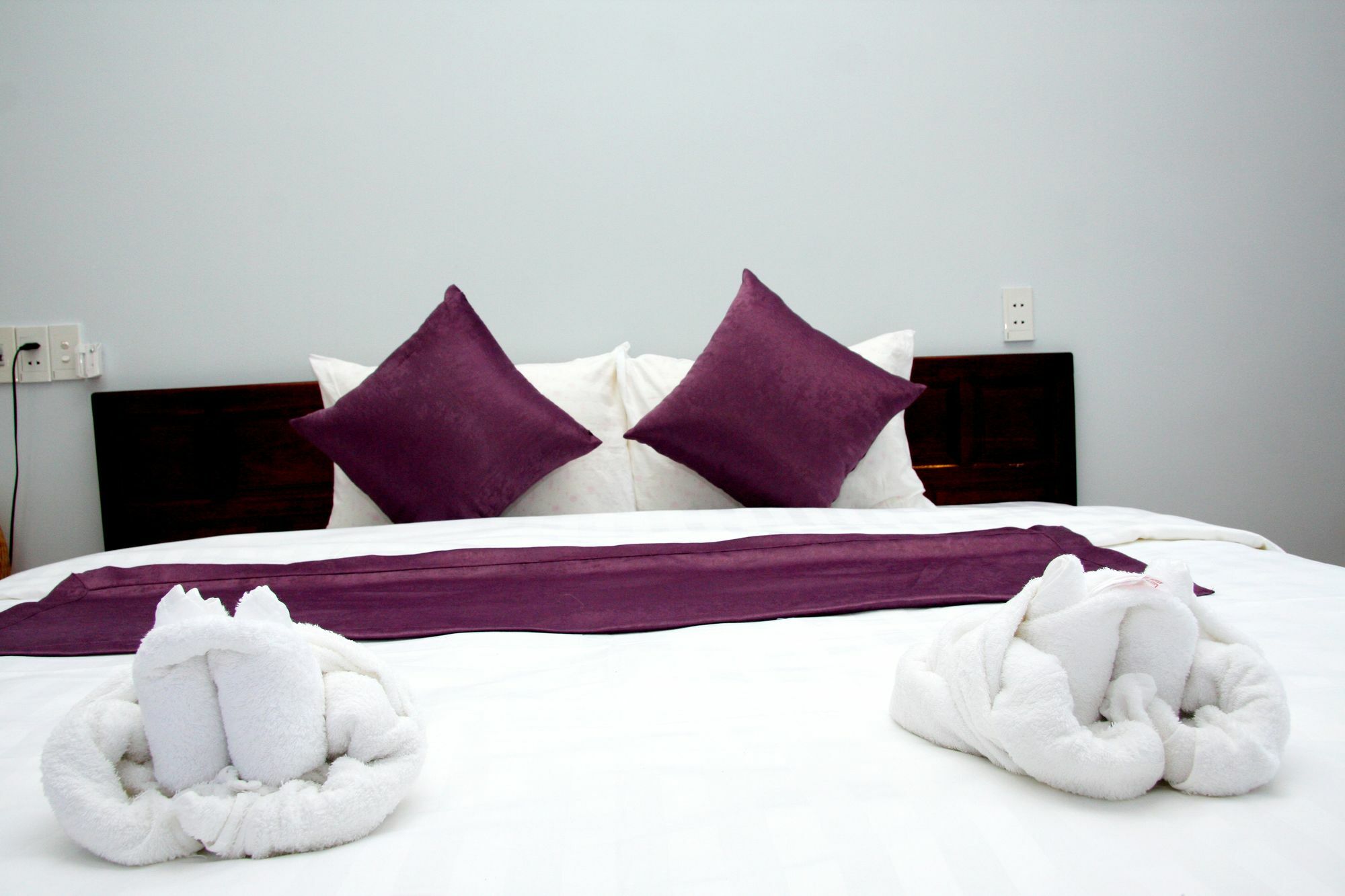 Purple Garden Homestay هوي ان المظهر الخارجي الصورة